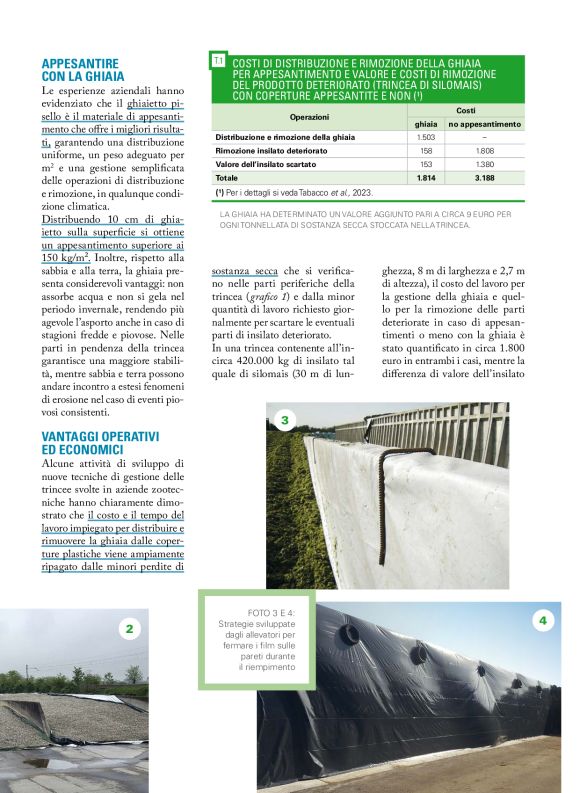 pag 27