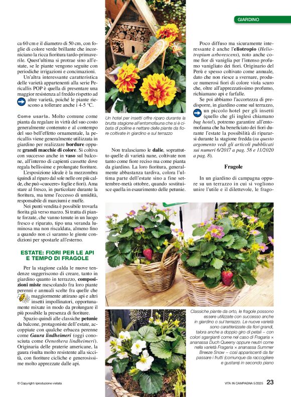 pag 23
