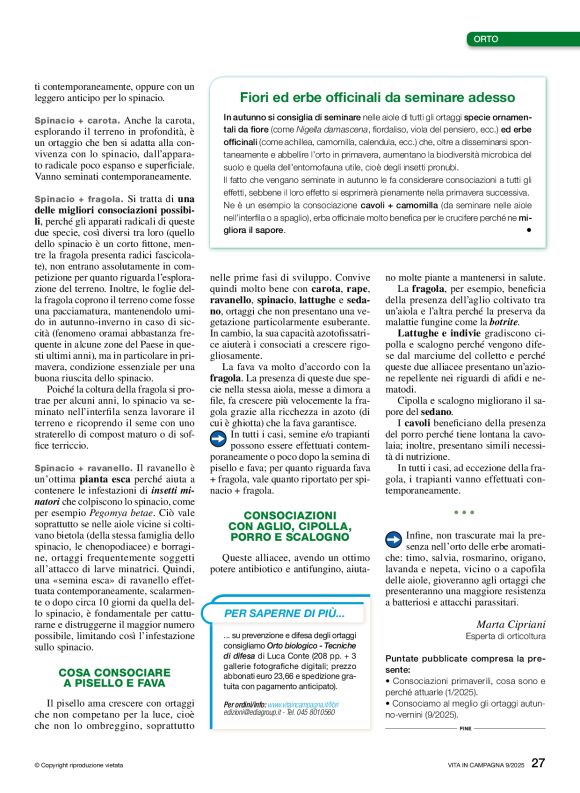 pag 27