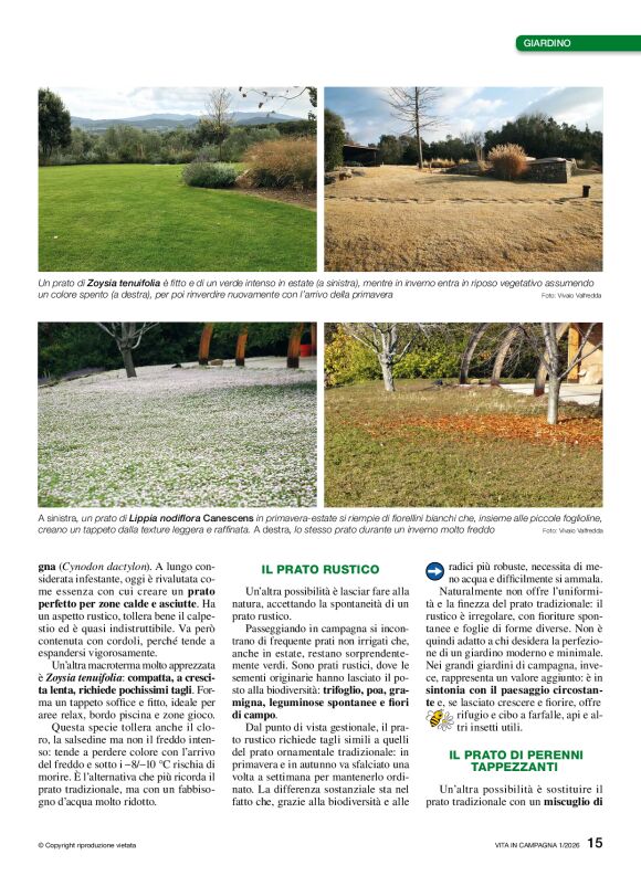 pag 15