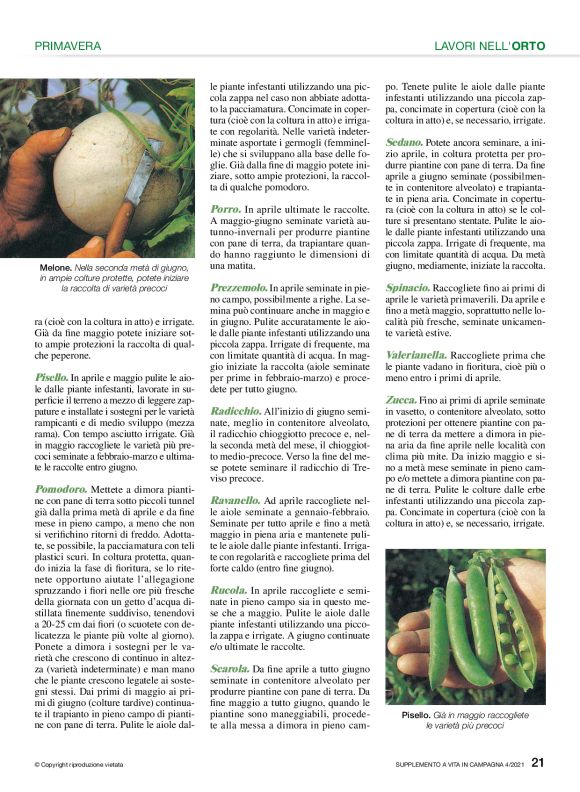 pag 21