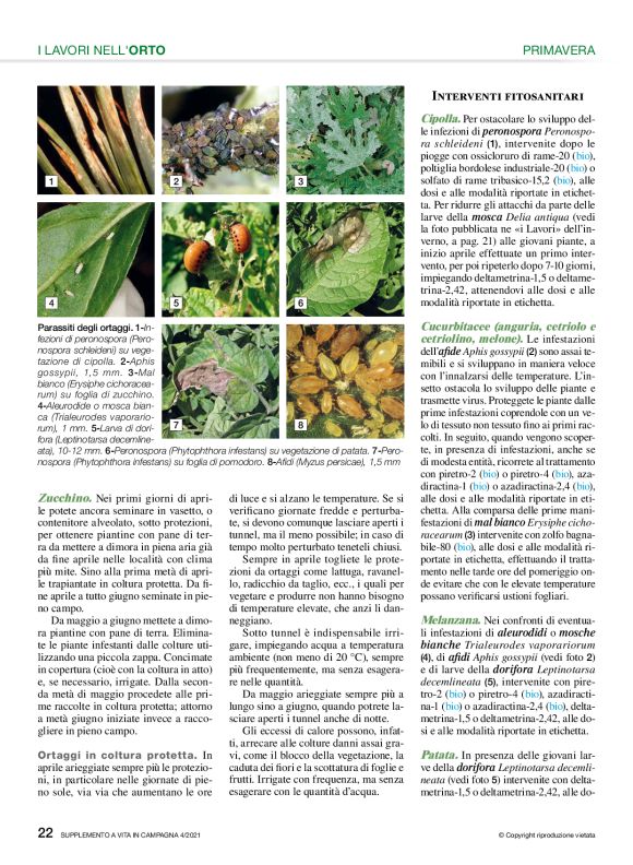 pag 22