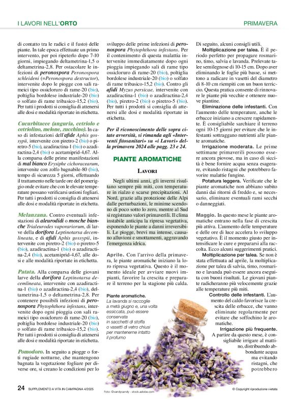 pag 24