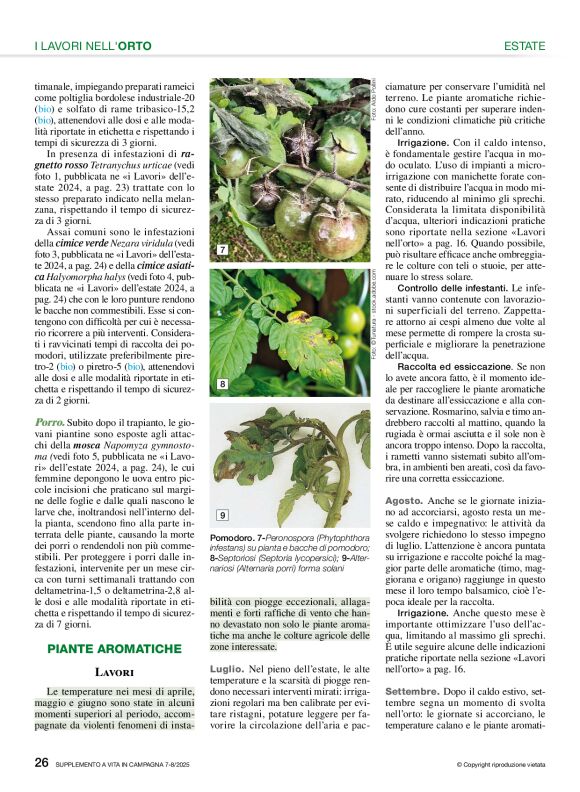 pag 26