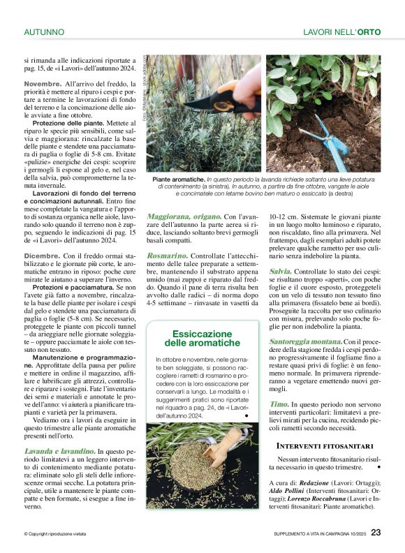 pag 23