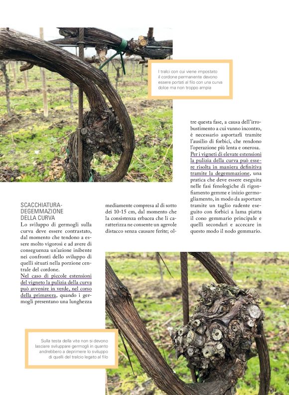 pag 21