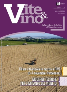 Anteprima Vite & Vino