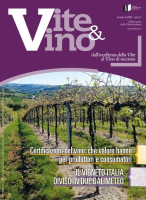 Vite e Vino