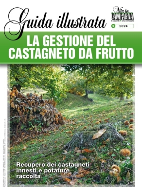 Supplementi di Vita in Campagna