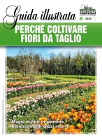 Supplementi di Vita in Campagna