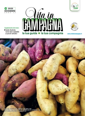 Vita In Campagna