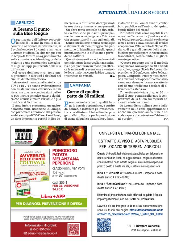 pag 25