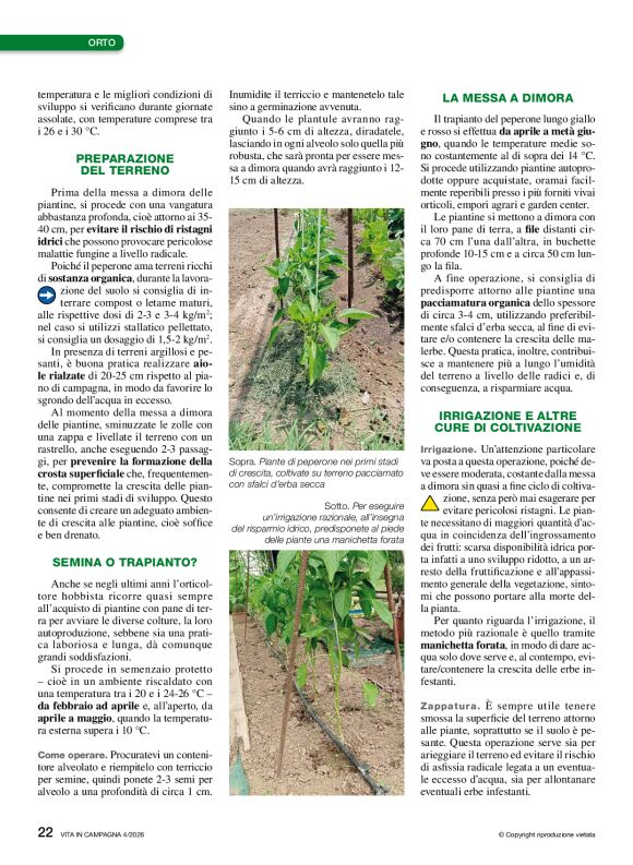 pag 22