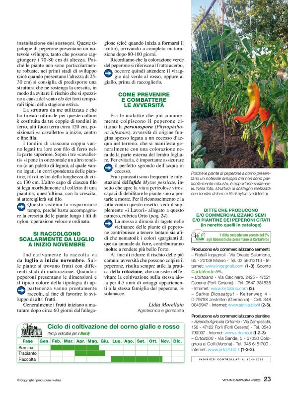 pag 23